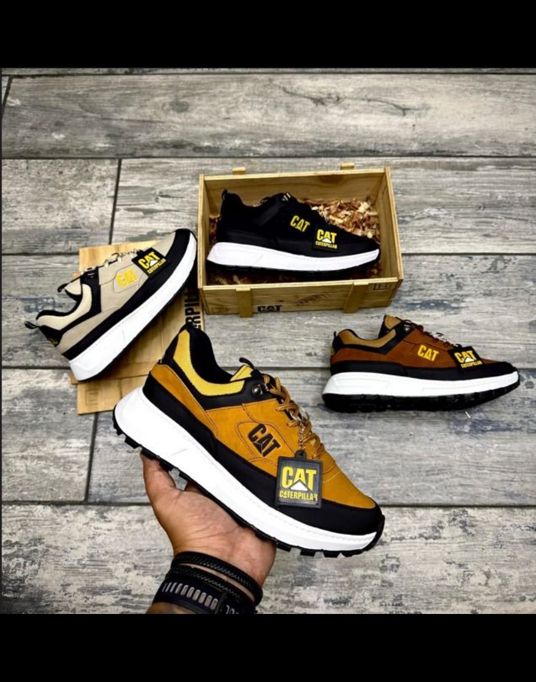 COLECCION CAT FALCON PREMIUM + CAJA +LLAVERO